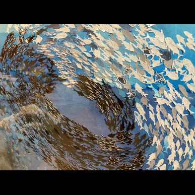 海の切り絵　shimesheep３作目　「僥倖」作品解説